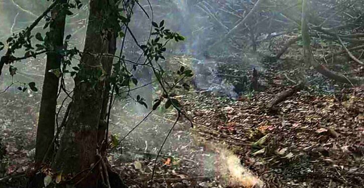 সুন্দরবনে নতুন এলাকায় আগুন নিয়ন্ত্রণে কাজ চলছে
