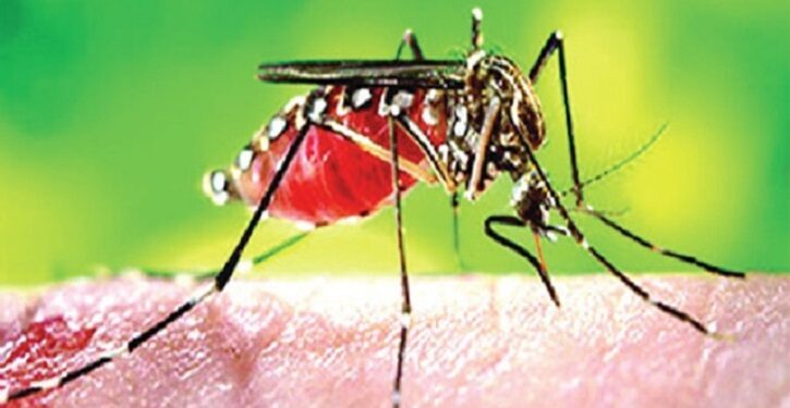 ২৪ ঘন্টায় ডেঙ্গুতে এক মৃত্যু, হাসপাতালে ৯ জন