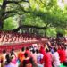 রমনার বটমূলে ছায়ানটের বর্ষবরণ অনুষ্ঠান শুরু