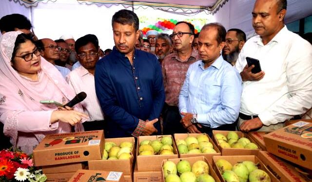 আম উৎপাদনে উত্তম কৃষি চর্চা সারা দেশে ছড়িয়ে দিতে হবে: কৃষি সচিব