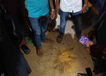 যাত্রাবাড়ী পার্কে ককটেল বিস্ফোরণ, আহত ৪