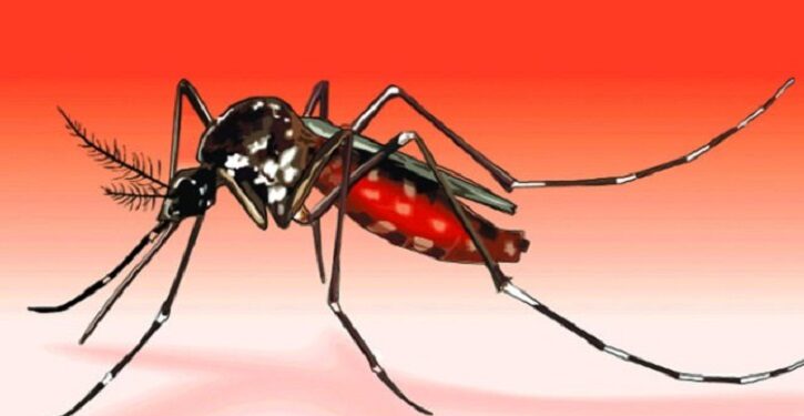 ডেঙ্গুতে একজনের মৃত্যু, হাসপাতালে ভর্তি ৭৯