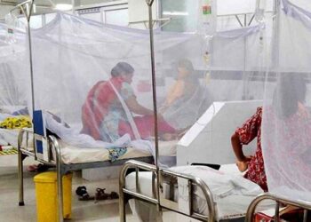 ডেঙ্গুতে আরও একজনের মৃত্যু, হাসপাতালে ৩৫২
