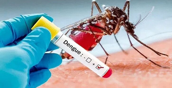 ডেঙ্গুতে একজনের মৃত্যু, হাসপাতালে ভর্তি ৩২৯