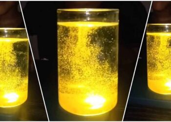 হলুদ পানির রহস্য: কীভাবে তৈরি করবেন এই ‘গ্লোইং ওয়াটার’
