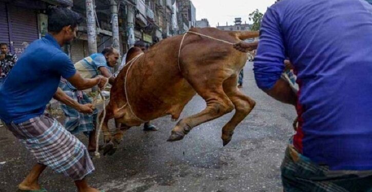 পাড়া-মহল্লায় চলছে পশু কোরবানি