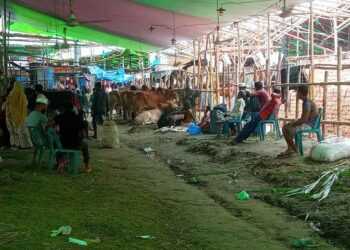 হাটে নেই পর্যাপ্ত পশু, বেড়েছে ক্রেতার চাপ