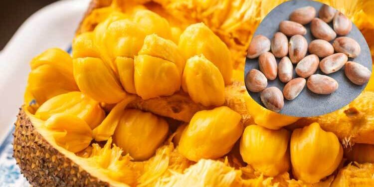 চুল পড়া ও মানসিক উদ্বেগ কমাবে কাঁঠালের বীজ