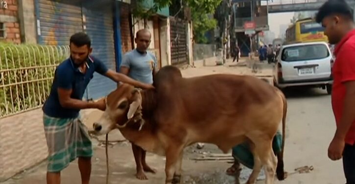 ঈদের দ্বিতীয় দিনেও চলছে পশু কোরবানি