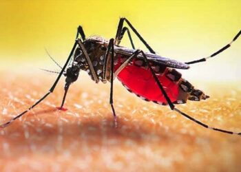 ডেঙ্গুতে আরও ২ জনের মৃত্যু, আক্রান্ত ১৫৯