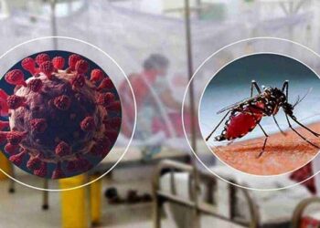 জুনে করোনায় ২২ এবং ডেঙ্গুতে ১৯ জনের মৃত্যু