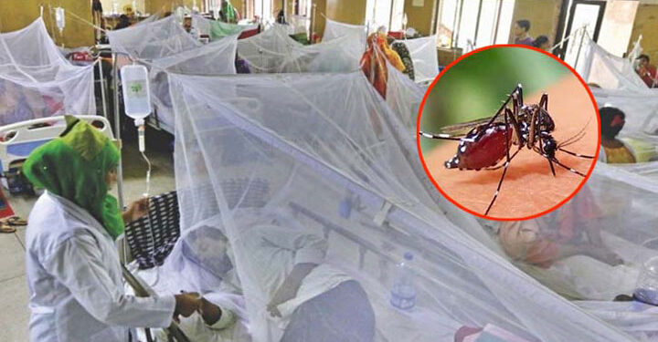ডেঙ্গুতে একজনের মৃত্যু, হাসপাতালে ৩৯১