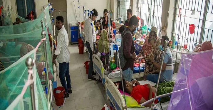 ডেঙ্গুতে আরও একজনের মৃত্যু, হাসপাতালে ৩৫৮