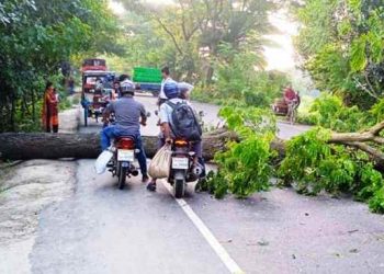 ফরিদপুর অবরোধে ২১ জেলার যান চলাচল বন্ধ