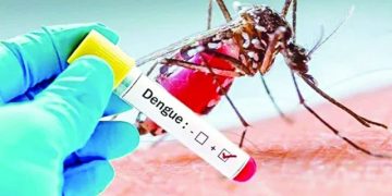 ডেঙ্গুতে আরও ৩ জনের মৃত্যু, হাসপাতালে ৭৩৫