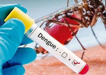 ডেঙ্গুতে আরও ২ জনের মৃত্যু, হাসপাতালে ভর্তি ৪৪৫