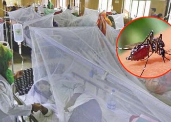ডেঙ্গুতে প্রাণ গেল আরও ৪ জনের, হাসপাতালে ৮০৩