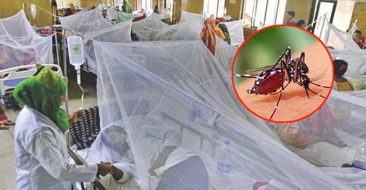 ডেঙ্গুতে প্রাণ গেল আরও ৪ জনের, হাসপাতালে ৮০৩