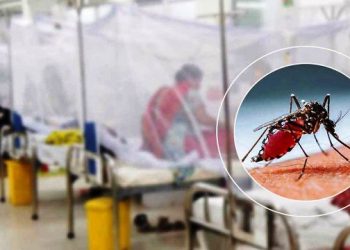 ডেঙ্গুতে একদিনে ৪ মৃত্যু, হাসপাতালে ভর্তি ১১৪৩