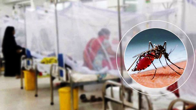ডেঙ্গুতে একদিনে ৪ মৃত্যু, হাসপাতালে ভর্তি ১১৪৩