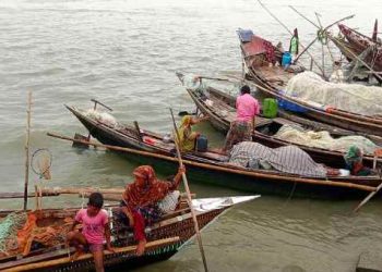 ইলিশের হাসি দেখতে মধ্যরাতে নামবে জেলেরা