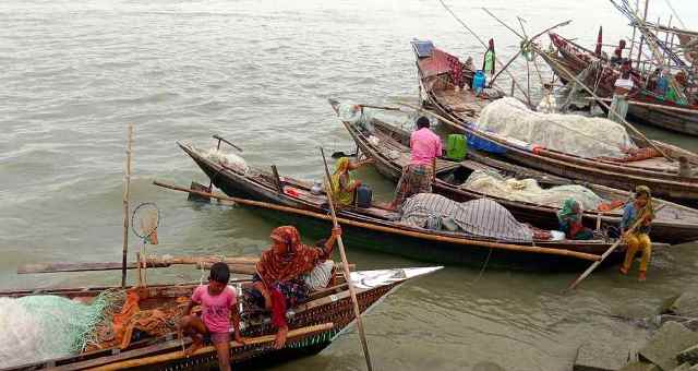 ইলিশের হাসি দেখতে মধ্যরাতে নামবে জেলেরা