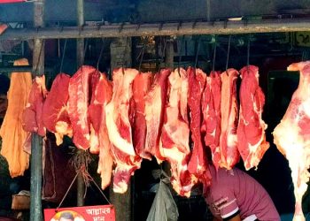 গরু ও খাসির মাংসের দাম অপরিবর্তিত