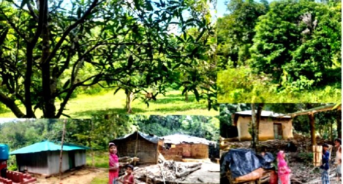 রামু রাবার বাগানে বসবাসরতদের উচ্ছেদ আতঙ্কে