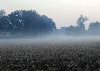 পঞ্চগড়ে হিমেল বাতাসে বাড়ছে শীতের দাপট