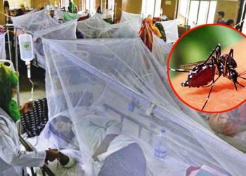 ডেঙ্গুতে ৫ জনের প্রাণহানী, হাসপাতালে ভর্তি ১১৩৯