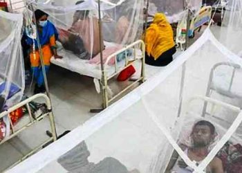 ডেঙ্গুতে আরও ৫ জনের মৃত্যু