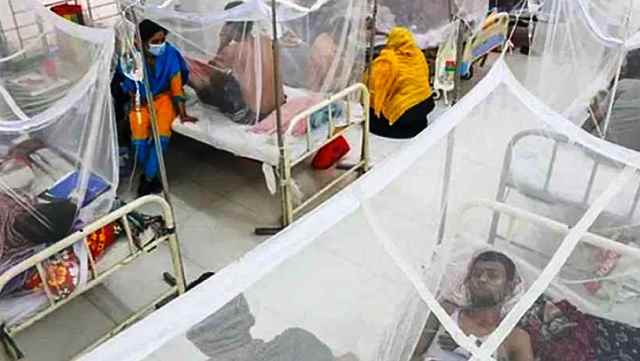 ডেঙ্গুতে আরও ৫ জনের মৃত্যু