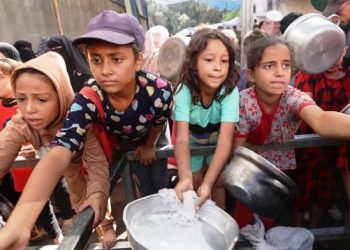 যুদ্ধবিরতিতেও ত্রাণ প্রবেশে বাধায় ক্ষুধার্ত গাজা