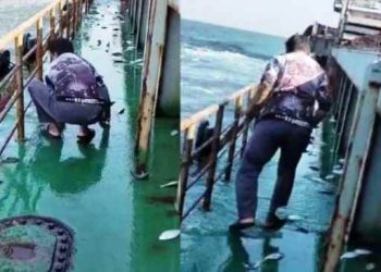 গভীর সমুদ্রে জাহাজের ডেকে উঠে এলো ঝাঁকে ঝাঁকে ইলিশ