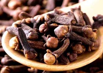 জেনে নিন প্রতিদিন লবঙ্গ খাওয়ার আশ্চর্য উপকারিতা