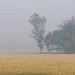পঞ্চগড়ে আবারো ১২ ডিগ্রিতে নামলো তাপমাত্রা