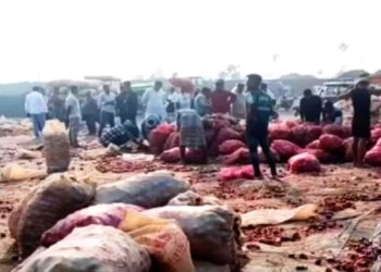 বাংলাদেশে আমদানি বন্ধ, ভারতে নষ্ট হচ্ছে ৩০ হাজার টন পেঁয়াজ