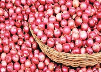 উপদেষ্টা পরিষদ পক্ষপাতদুষ্ট হয়ে কাজ করছে: ফখরুল