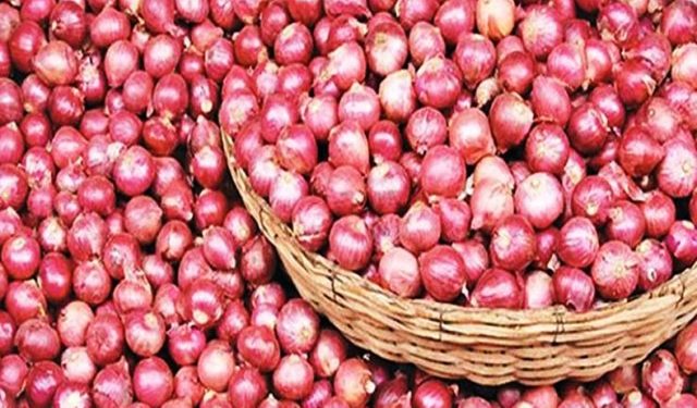 উপদেষ্টা পরিষদ পক্ষপাতদুষ্ট হয়ে কাজ করছে: ফখরুল