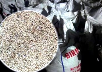 পাকিস্তান থেকে আনা ৩২ টন পাখির খাদ্যের ২৫ টনই নিষিদ্ধ পপি বীজ