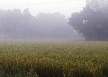 পঞ্চগড়ের তাপমাত্রা নামল ১২ ডিগ্রিতে