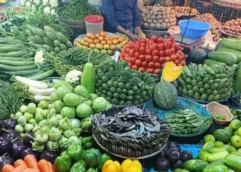 শীতের সবজির সরবরাহ বাড়লেও কমছে না দাম