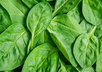 এক শাকেই মিলবে ৭ উপকার