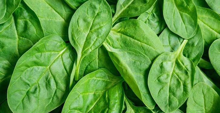 এক শাকেই মিলবে ৭ উপকার