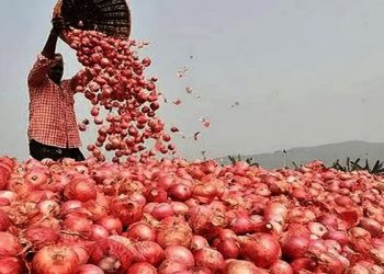 ভারতীয় পেঁয়াজ আমদানি শুরু, কমে যাচ্ছে দাম