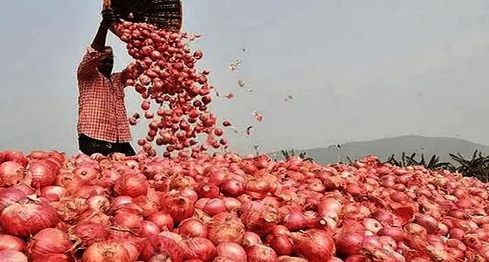 ভারতীয় পেঁয়াজ আমদানি শুরু, কমে যাচ্ছে দাম