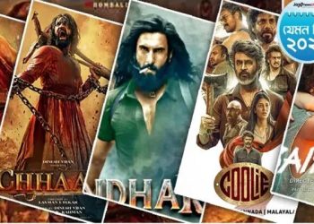 ২০২৫ সালে বলিউডের যেসব সিনেমা সবচেয়ে বেশি আয় করেছে