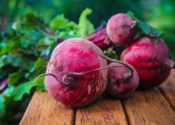 বিটরুট কাঁচা খাবেন নাকি রান্না? কোনটা বেশি উপকারী