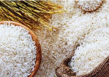 এবার চালের দাম নিয়ে দুঃসংবাদ