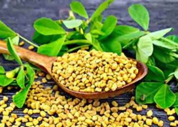 ডায়াবেটিস নিয়ন্ত্রণে মেথির জাদুকরী ভূমিকা 